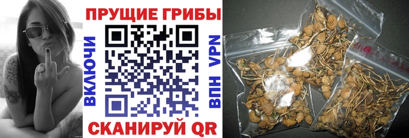 Галлюциногенные грибы мицелий Кологрив